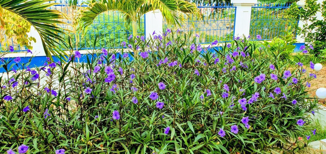Kelly Guest House Praia Buitenkant foto