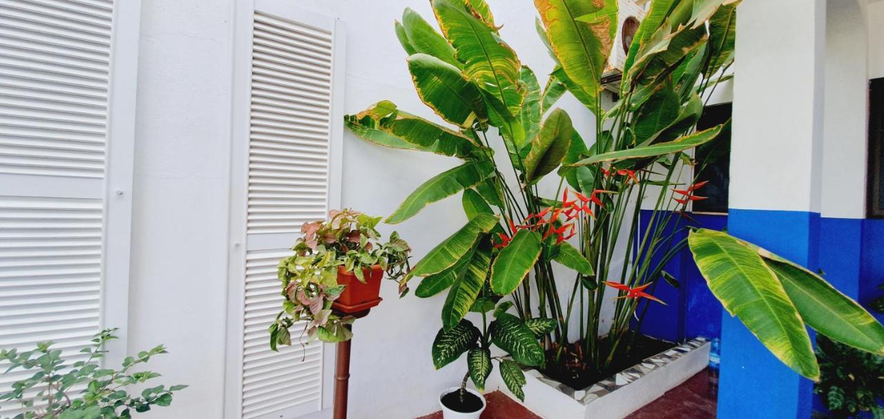 Kelly Guest House Praia Buitenkant foto